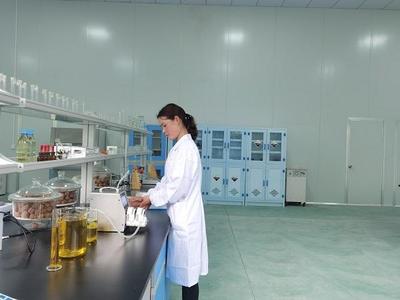 重慶城口核桃精深加工項目投產(chǎn)，帶動3萬農(nóng)戶增收并拓展茶葉制品生產(chǎn)