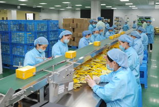 姚書(shū)記強(qiáng)調(diào)安全生產(chǎn) 確保國(guó)慶佳節(jié)平安祥和——重點(diǎn)關(guān)注茶葉制品生產(chǎn)領(lǐng)域